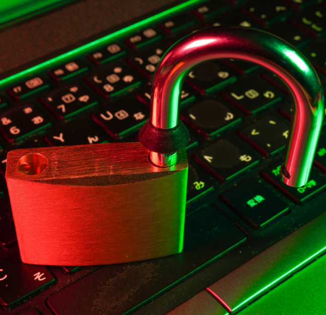 Cyber Security Experts